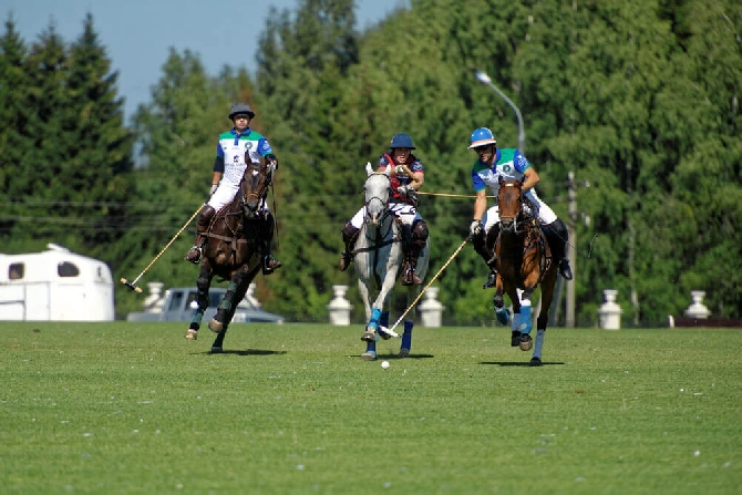 Wellington Equestrian Partners to Acquire International Polo Club and Surrounding Properties