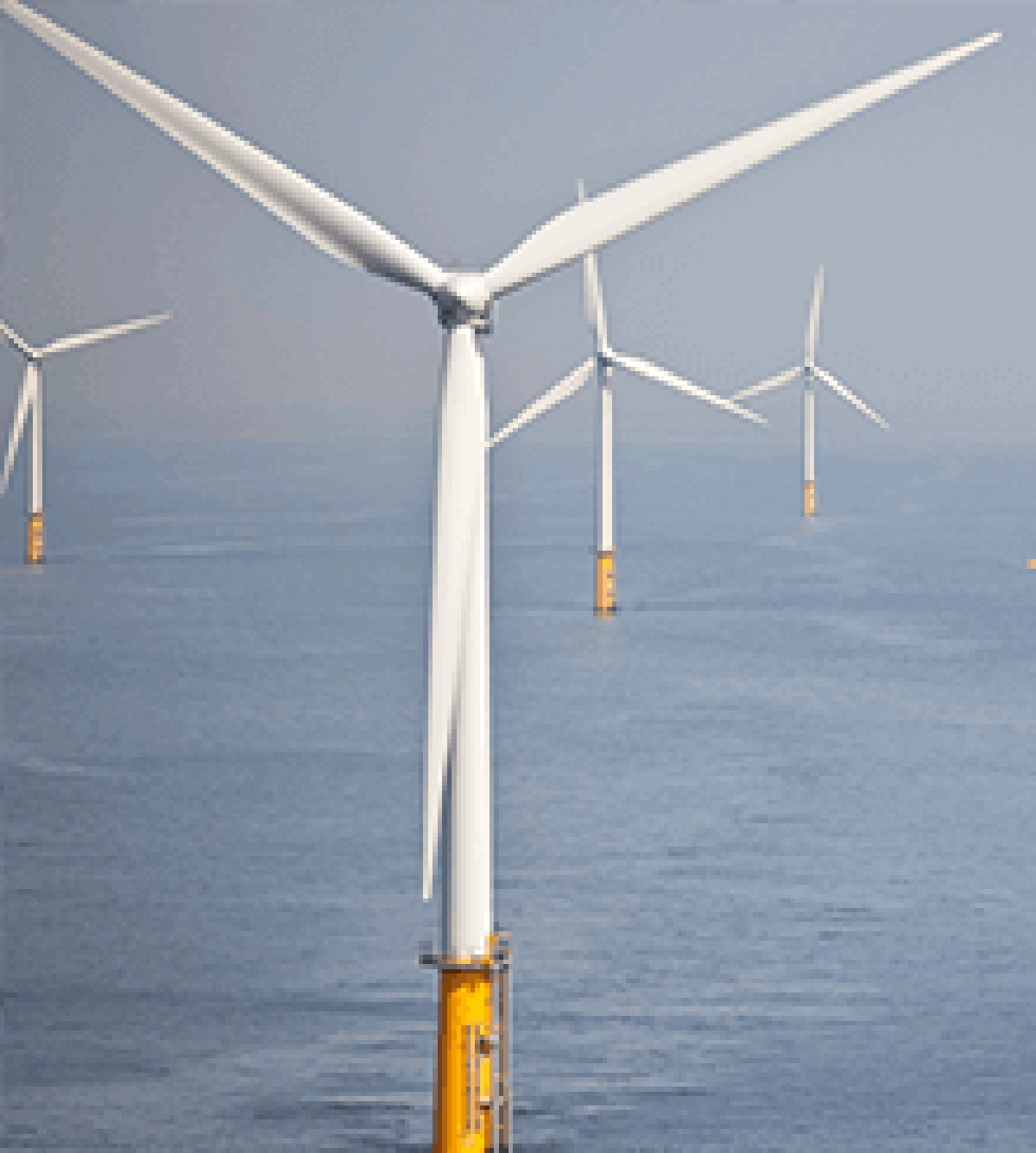 Article Image - Offshore Wind Attracting a Variety of Investor Groups