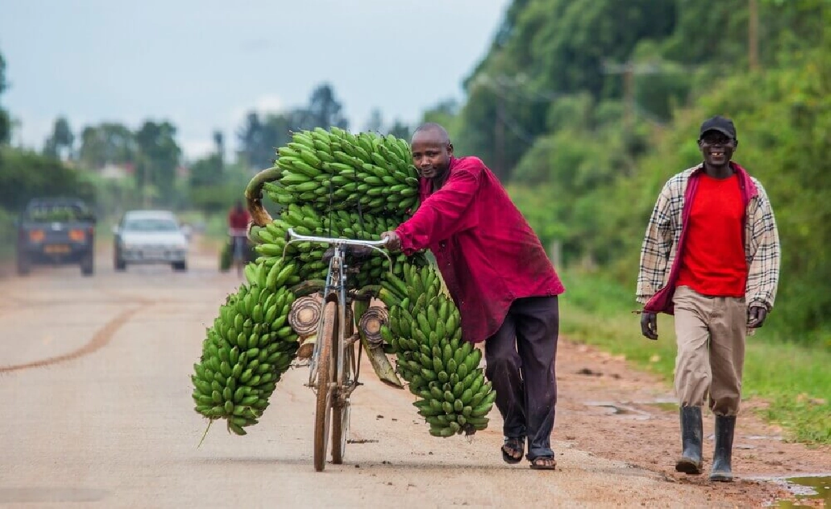 Article Image - The Role of Microfinance in Uganda