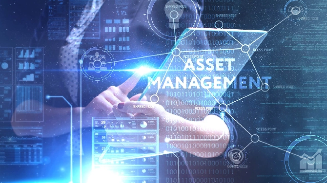 Why Your Company Needs an Asset Management Strategy