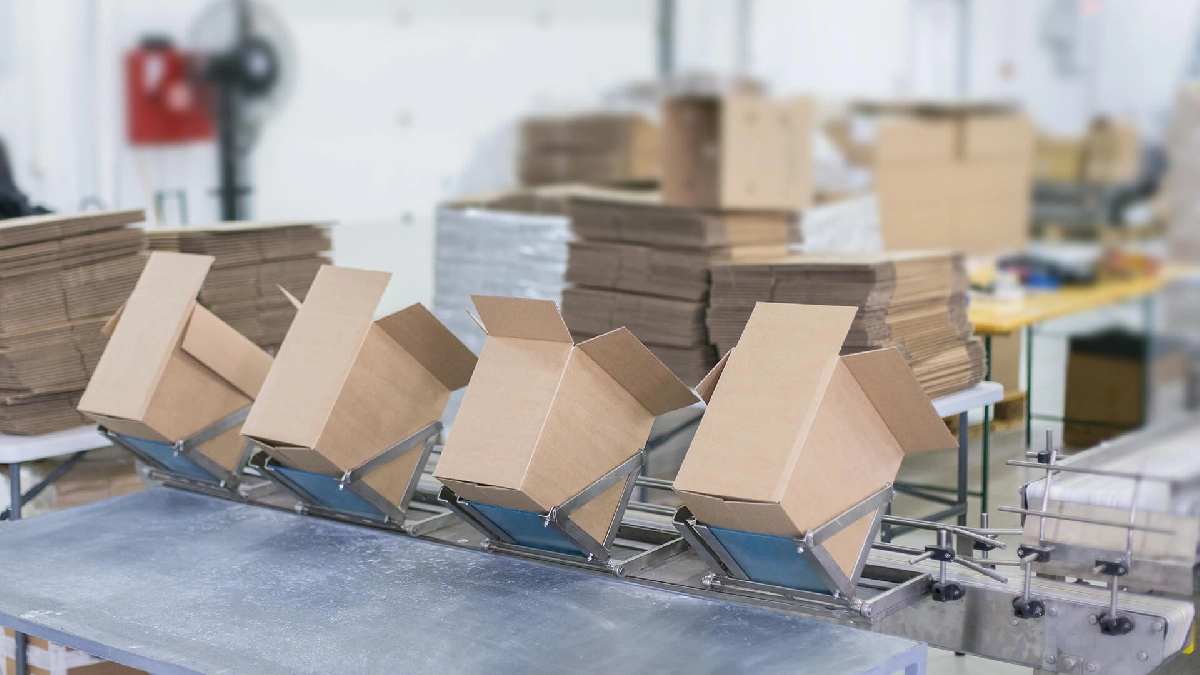 Article Image - 5 Smart Ways to Automate Your Packaging Processes