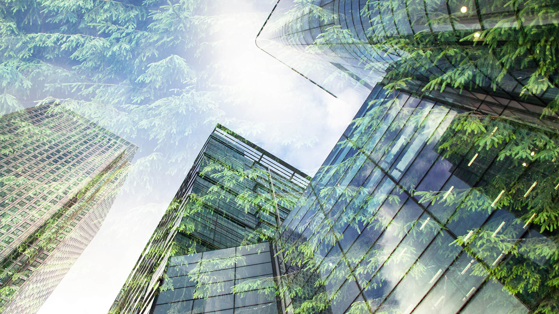 Double exposure of a skyscraper with green leafy trees