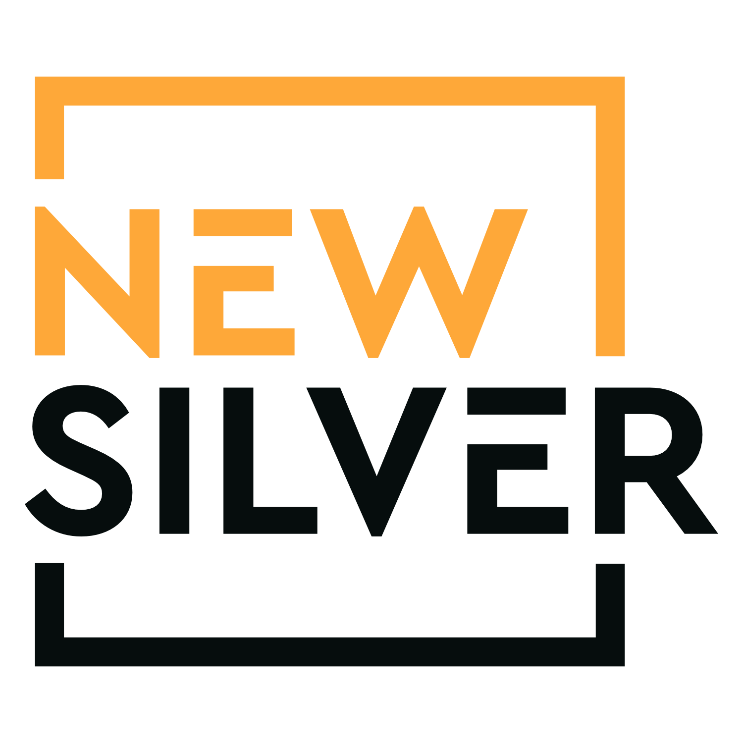 Winner Image - New Silver