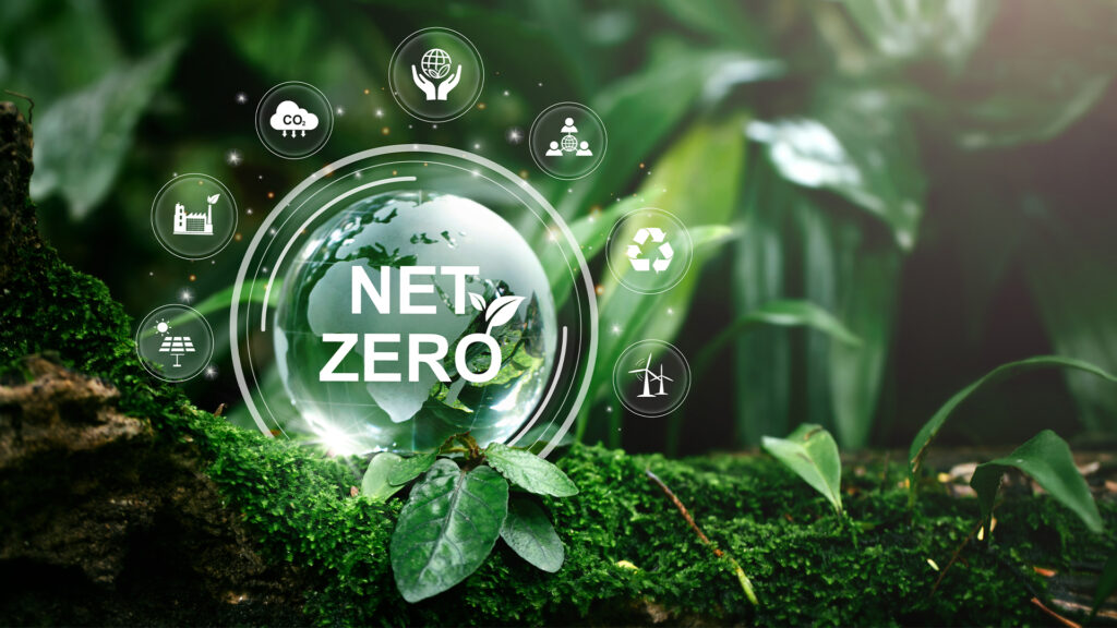 The Race to Net Zero: How Businesses Can Cut Energy Costs and Carbon Emissions Simultaneously