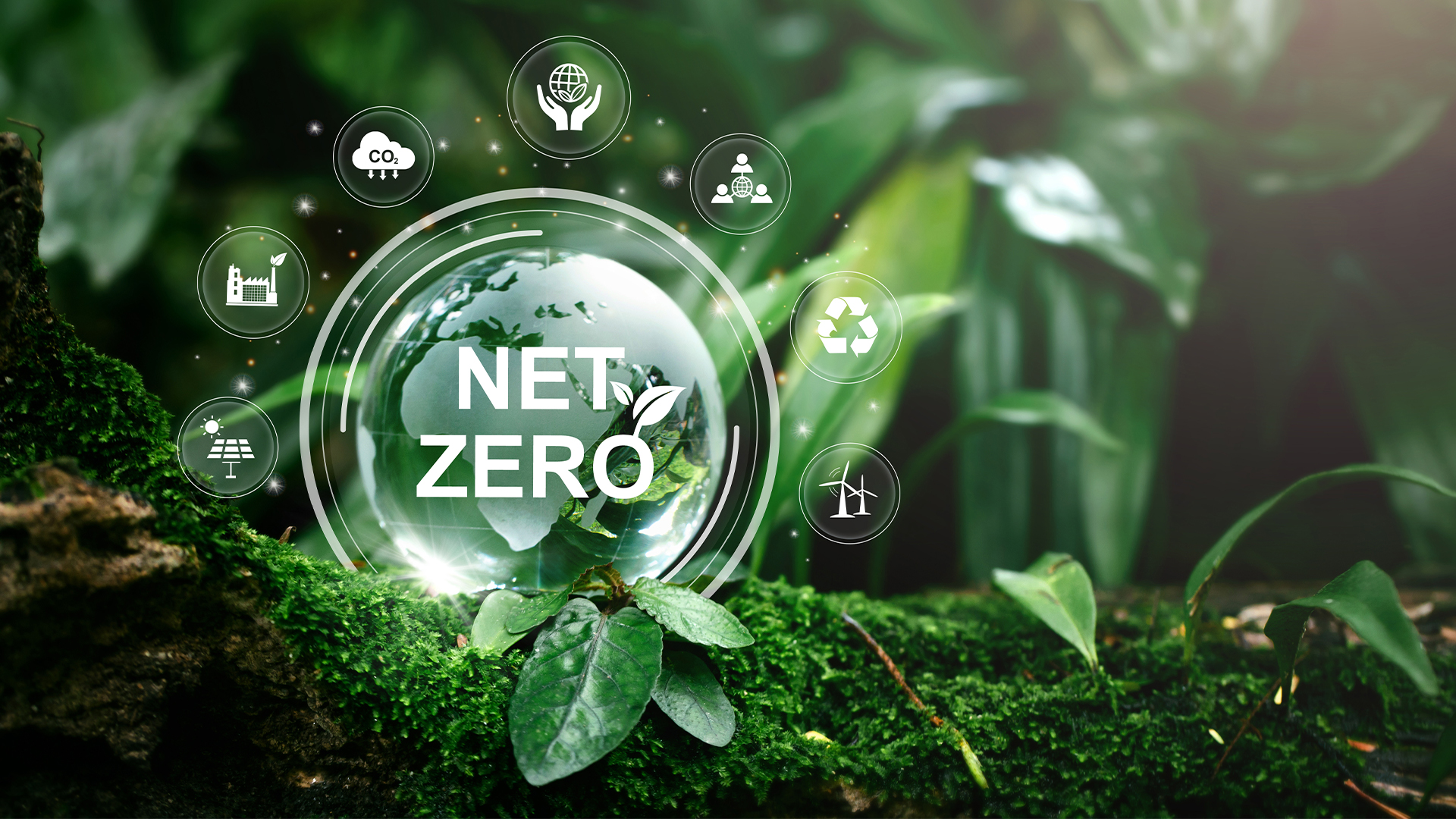Globe Glass with Net zero icons In Green Forest With Sunlight
