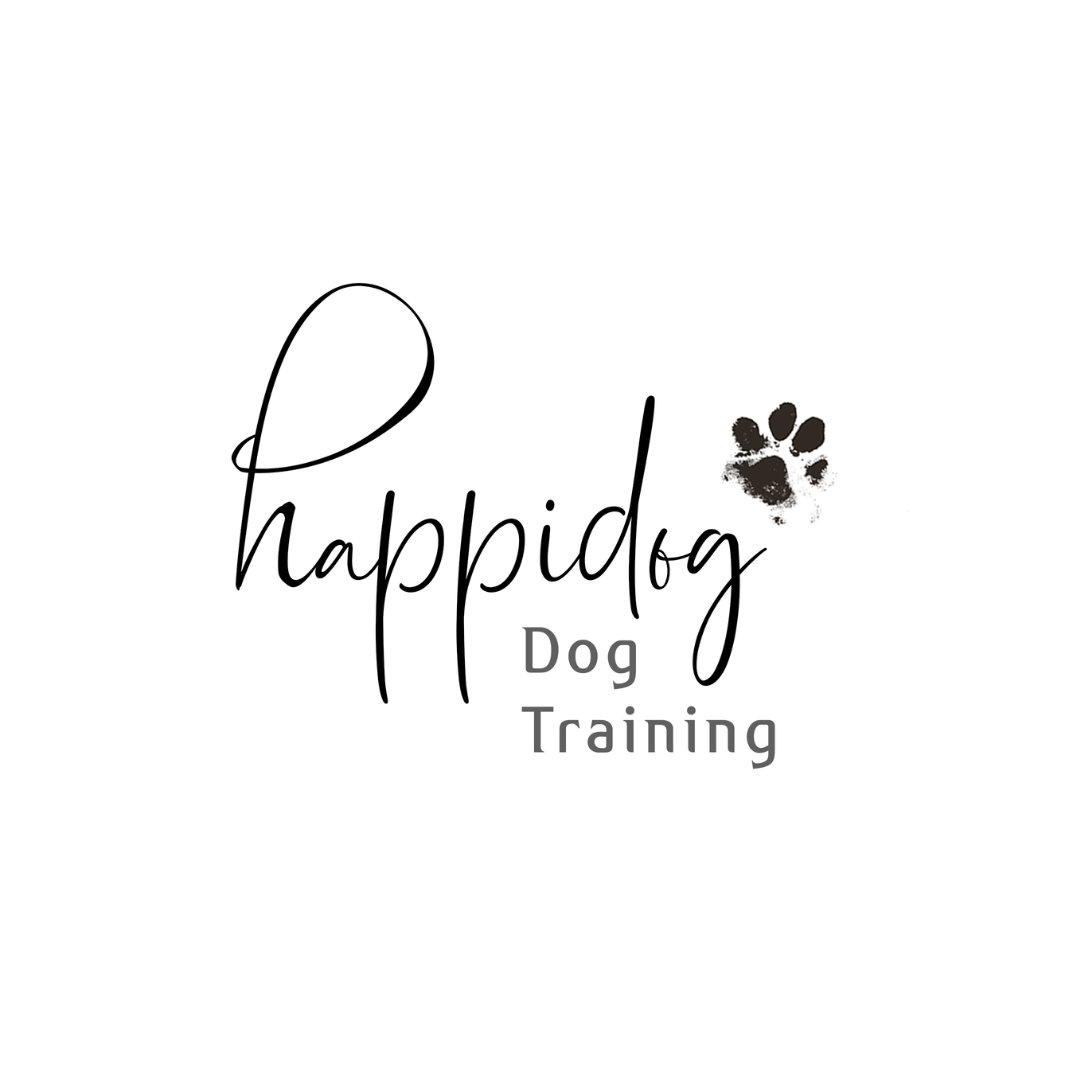 Winner Image - Happi Dog Training