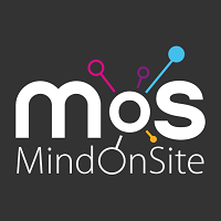 Winner small image - MindOnSite