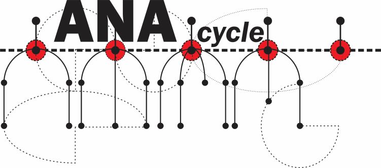 Winner small image - ANAcycle Design