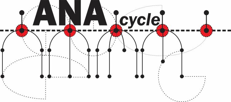 Winner Image - ANAcycle Design