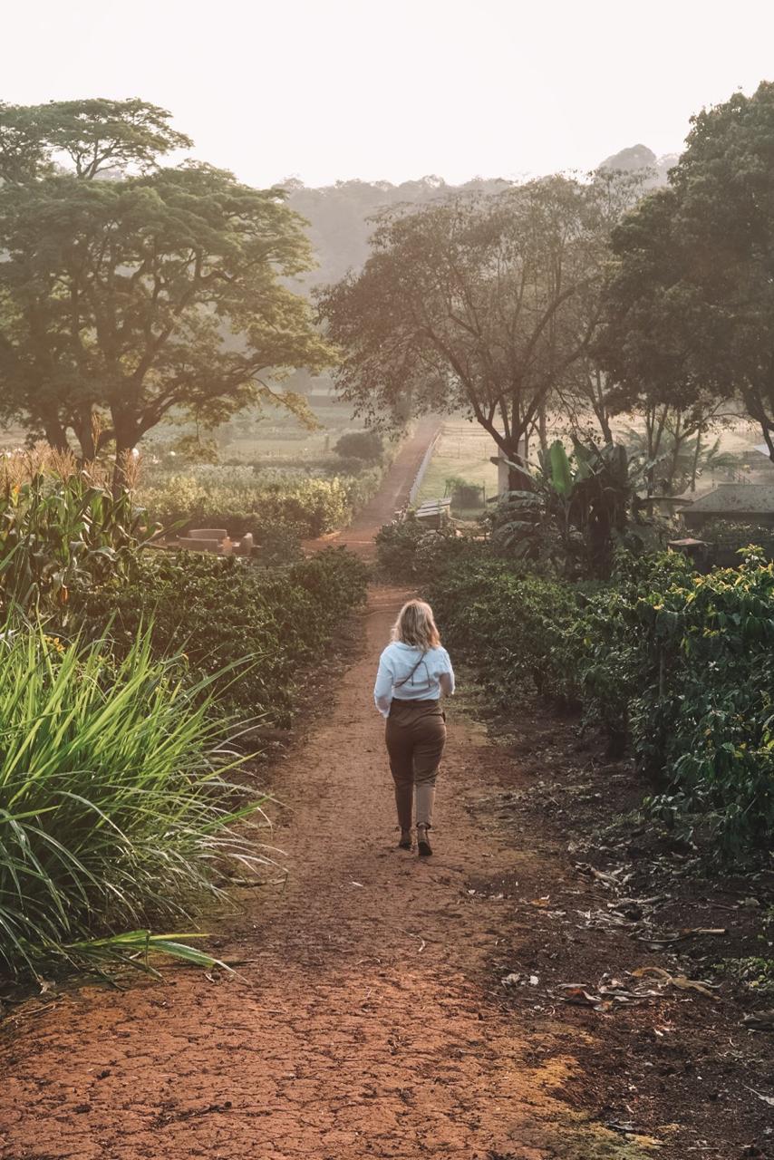 Winner small image - Ngorongoro Safari Lodge