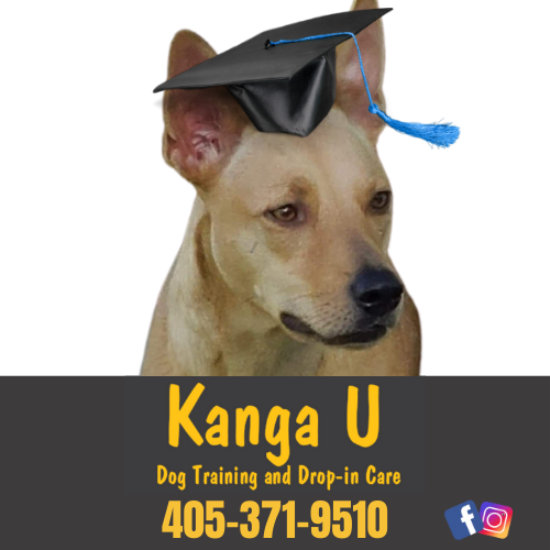 Winner small image - Kanga U Dog Training and Drop-in Care