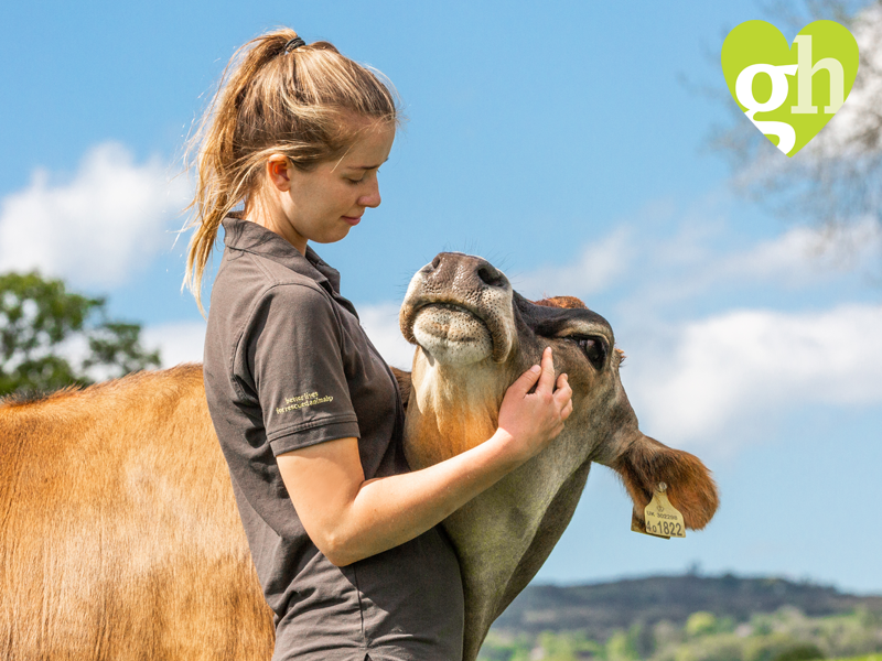 Winner small image - Goodheart Farm Animal Sanctuary