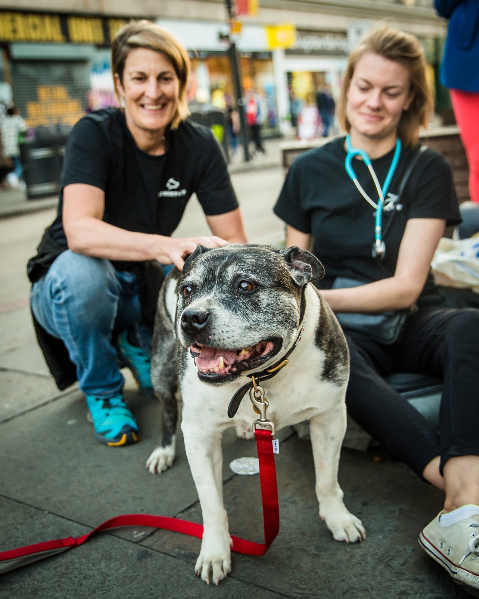 Winner small image - STREETVET