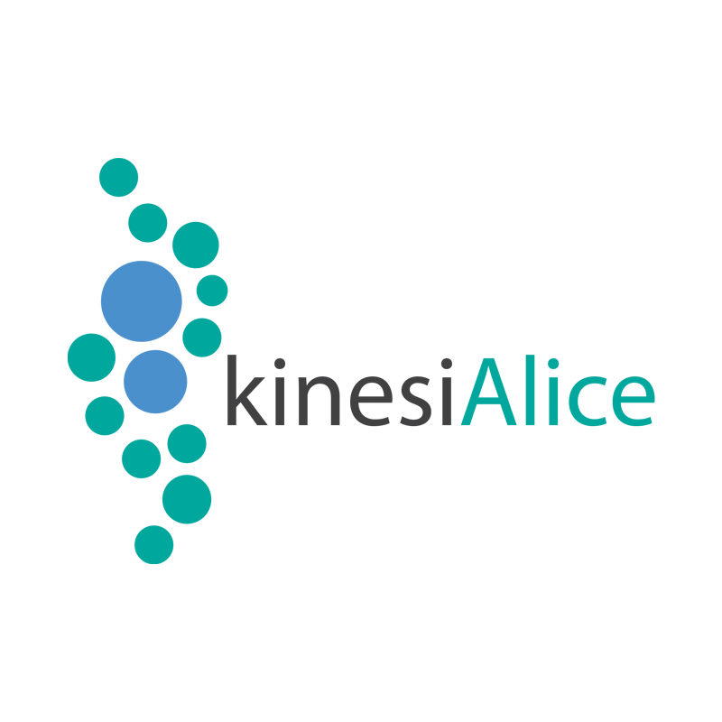 Winner small image - KinesiAlice Pty Ltd