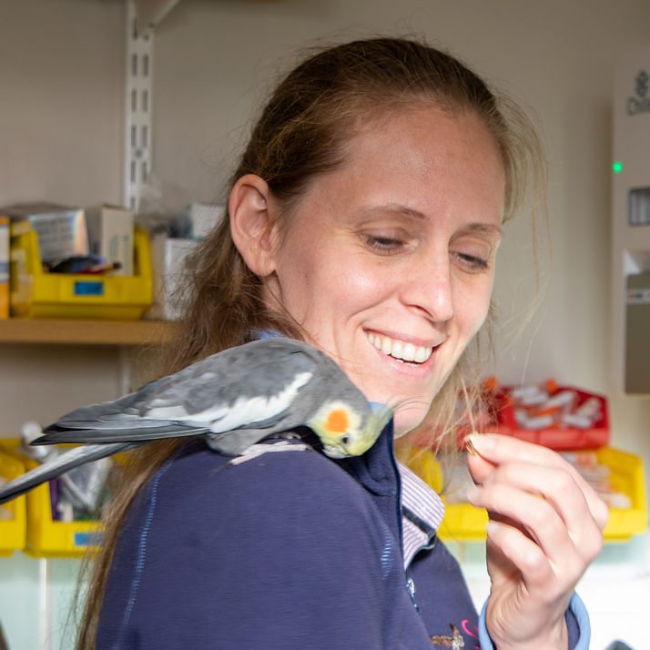 Winner small image - Skylark Vets Limited