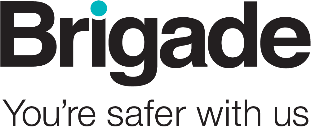 Winner small image - Brigade Electronics Group Plc