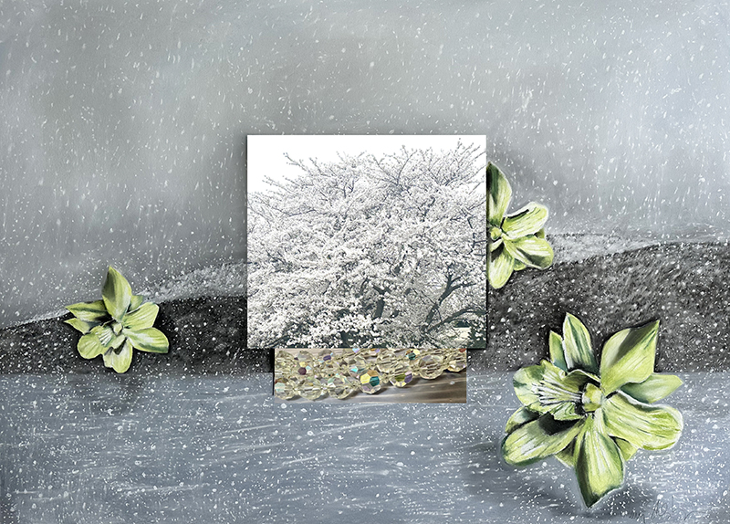 Winner Image - Nancy Staub Laughlin