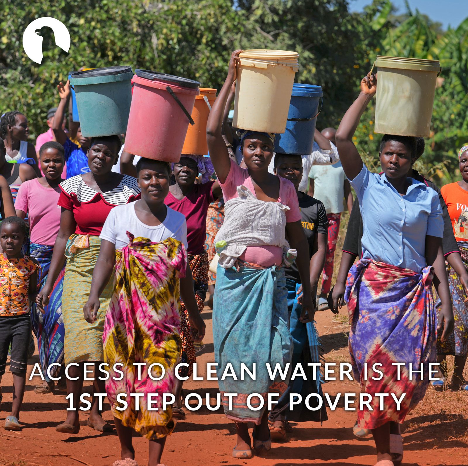 Winner small image - Mpilo Foundation