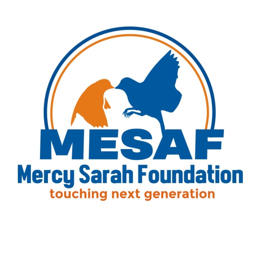 Winner small image - Mercy Sarah Foundation