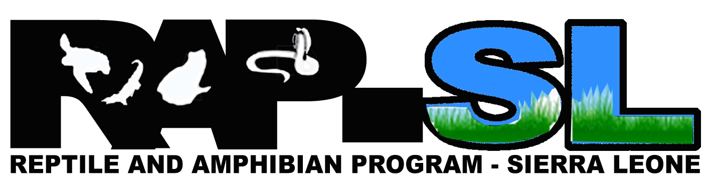 Winner small image - Reptile and Amphibian Program – Sierra Leone