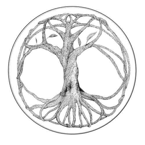 Winner small image - Infinite Branches
