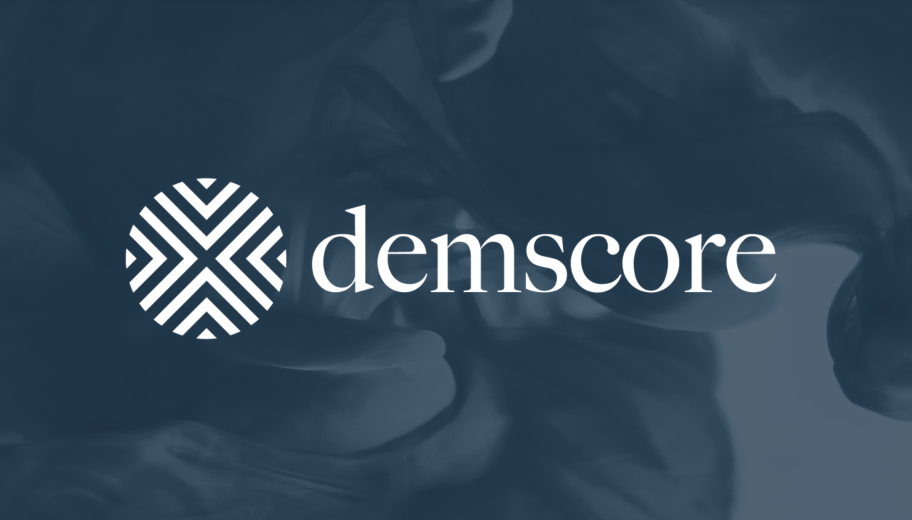 Winner small image - Demscore Partners
