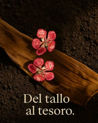 Winner small image - Calas Designe