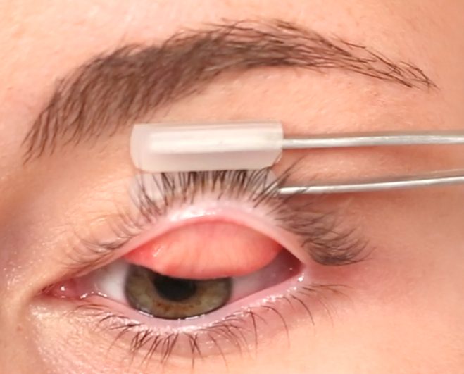 Winner small image - Meivertor