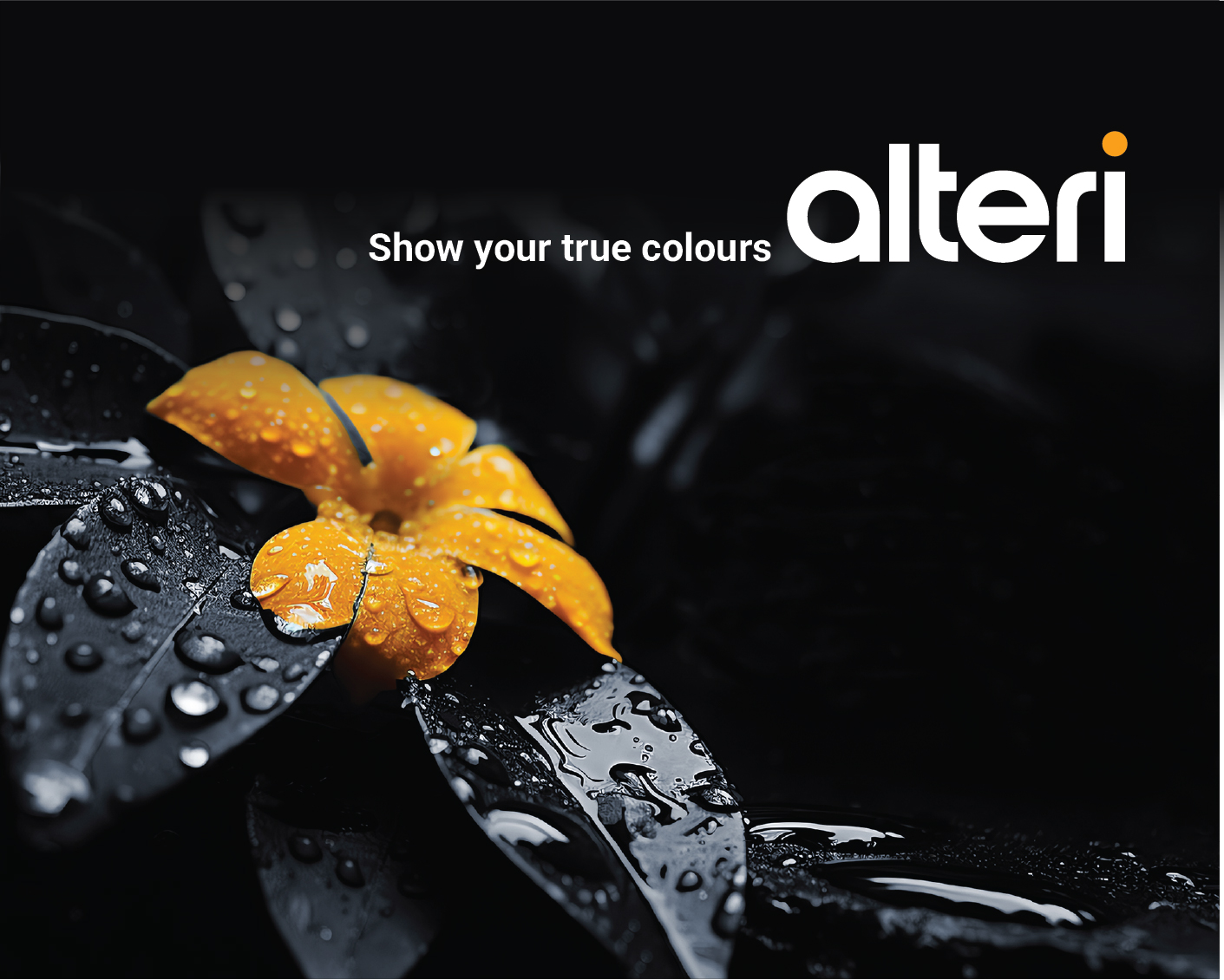 Winner small image - Alteri Consultants