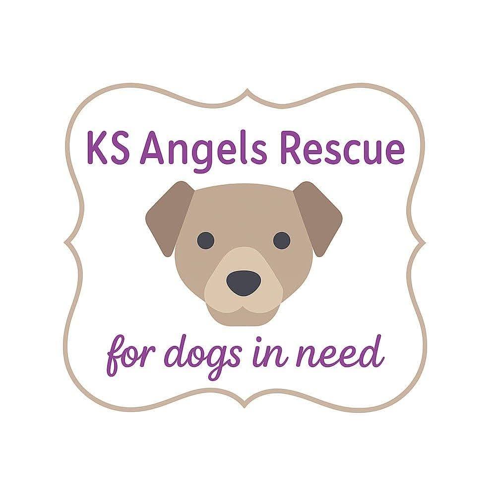 Winner small image - KS Angels Rescue