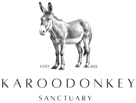 Winner small image - Karoo Donkey Sanctuary