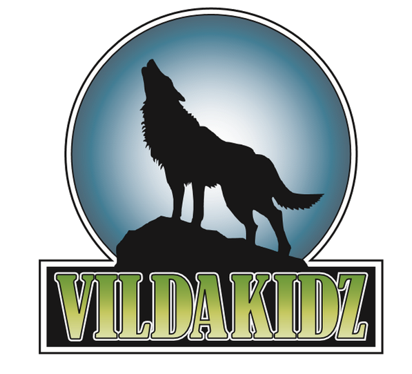Winner small image - Vilda Kidz